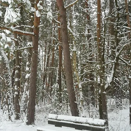 Direkt Am See, Mit Eigenem Boot Дом отдыха