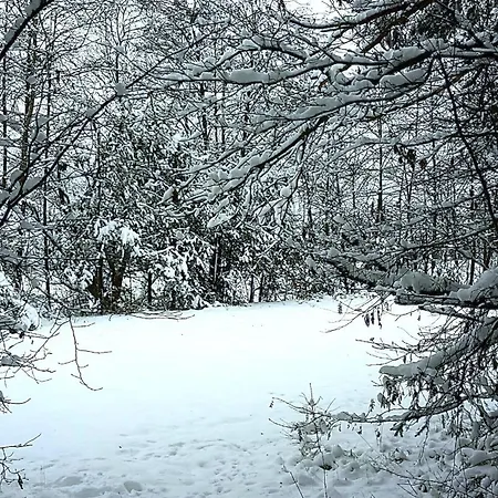 Дом отдыха Direkt Am See, Mit Eigenem Boot *