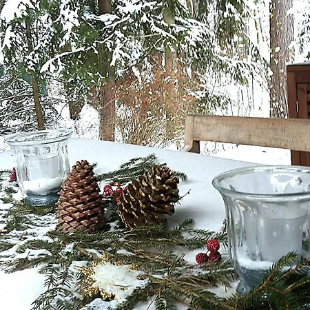 Дом отдыха Direkt Am See, Mit Eigenem Boot Родинг