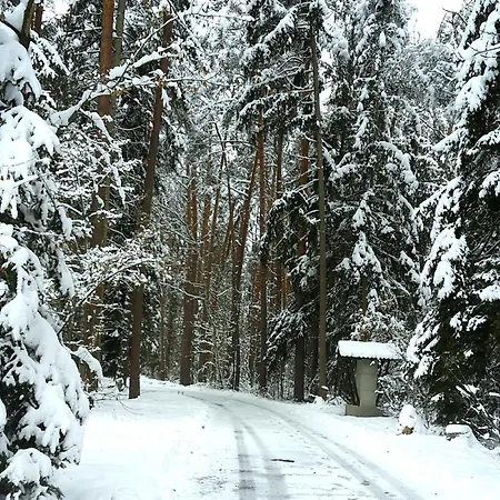 Direkt Am See, Mit Eigenem Boot *