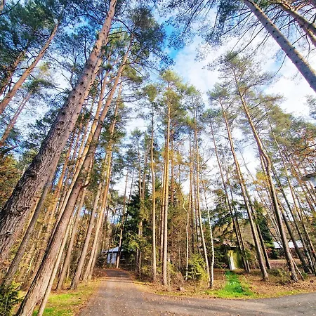Direkt Am See, Mit Eigenem Boot Дом отдыха Родинг
