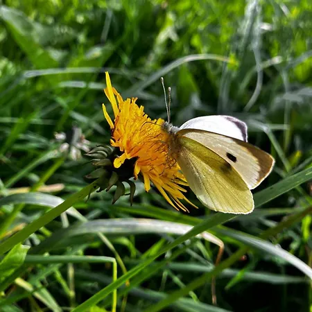 Direkt Am See, Mit Eigenem Boot Дом отдыха